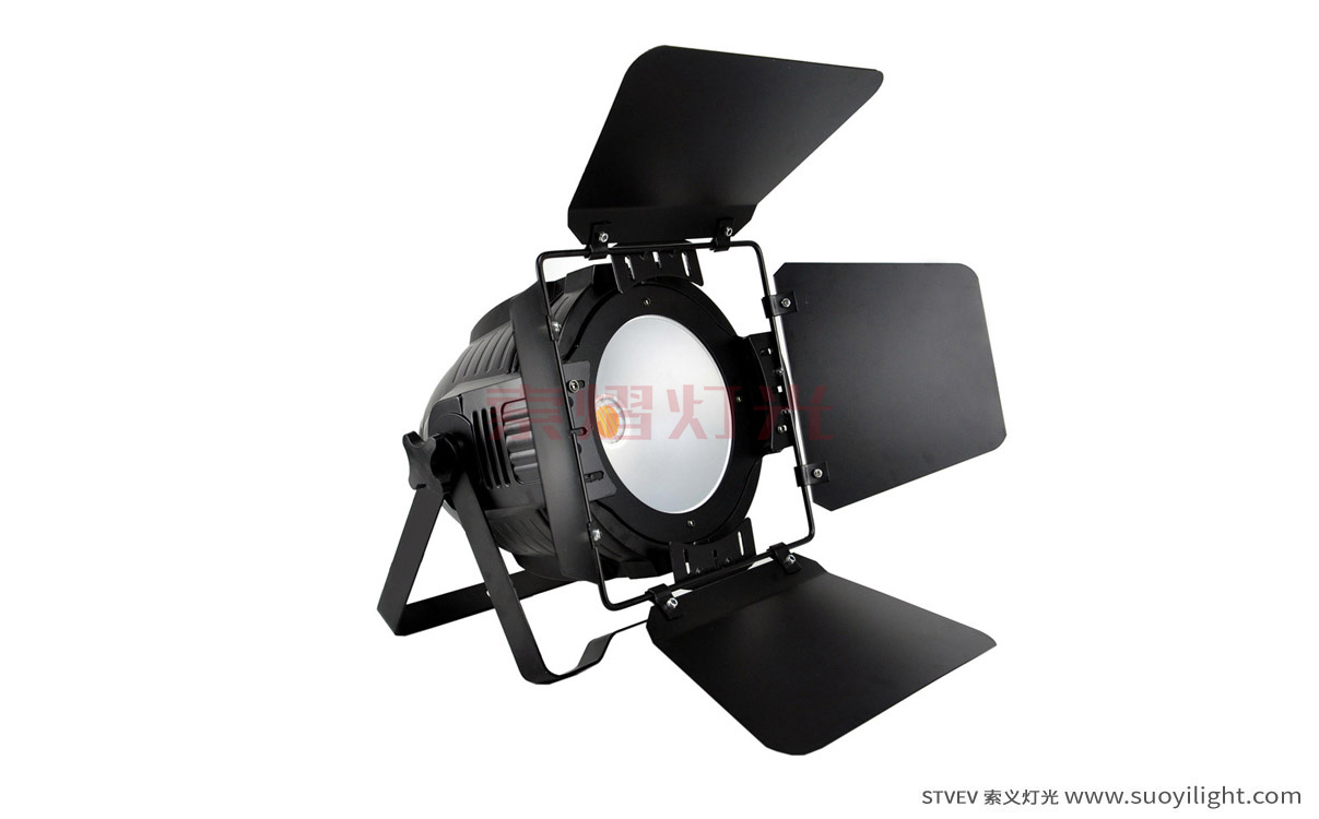 London200W COB LED Par Light