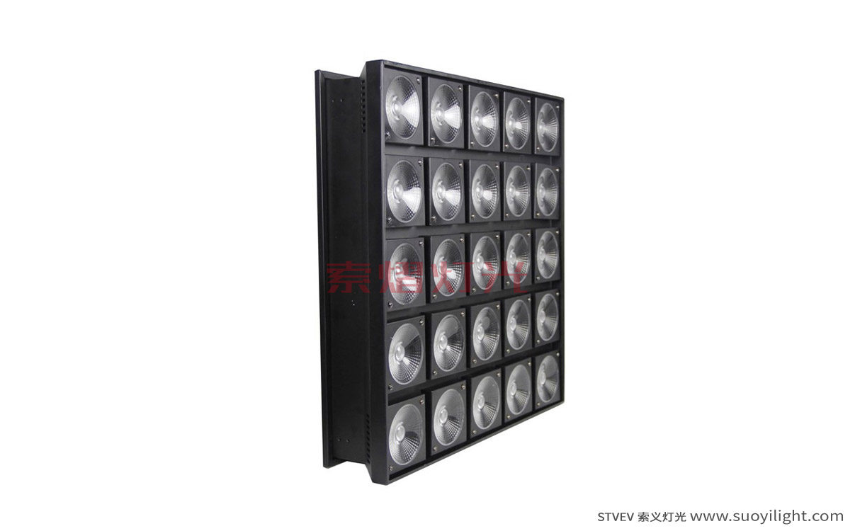 London25 Head LED Matrix Light