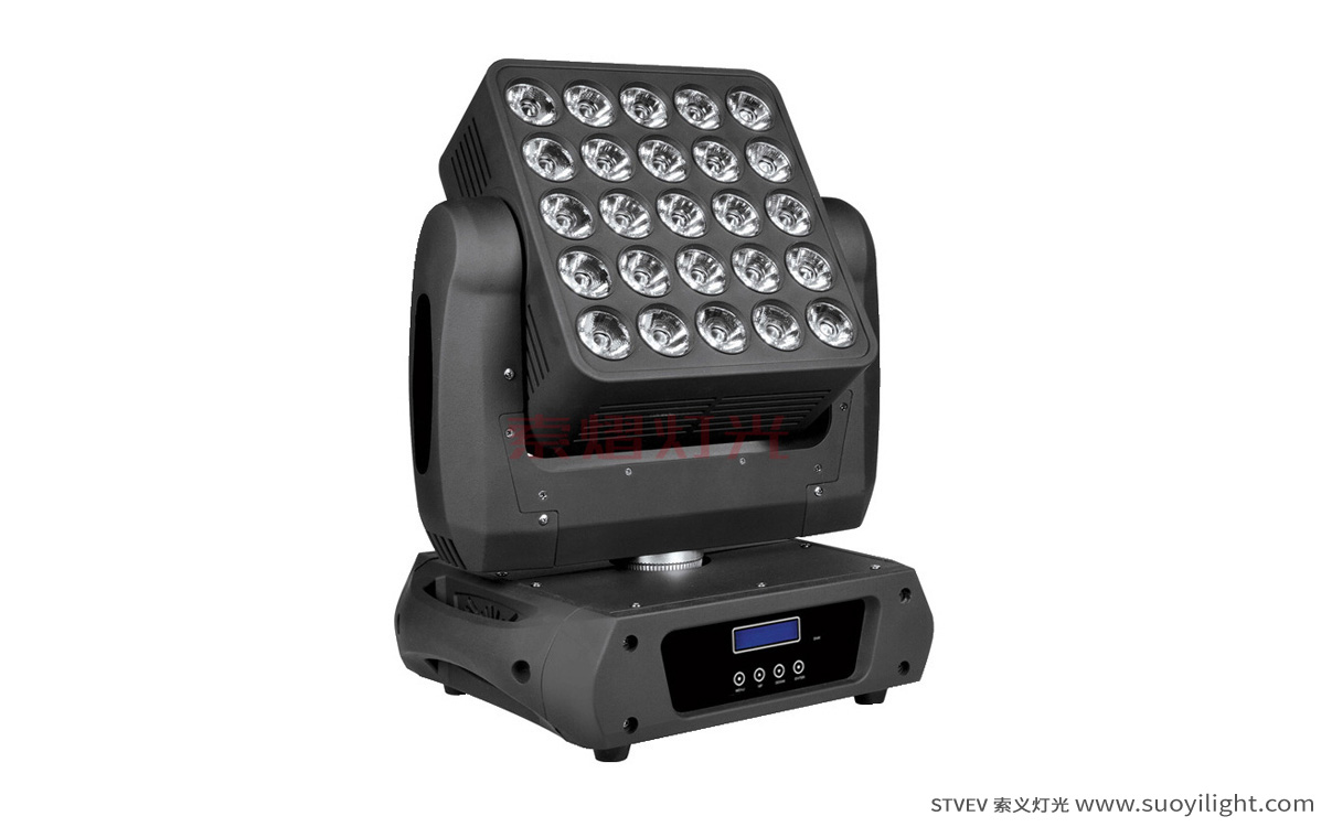 London25pcs Matrix LED Light