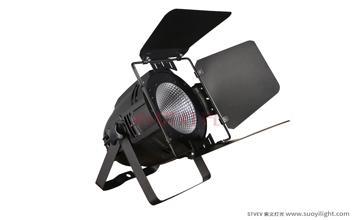 London100W LED COB Par Light