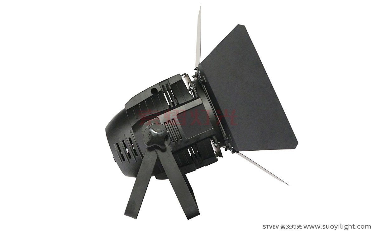 London100W LED COB Par Light