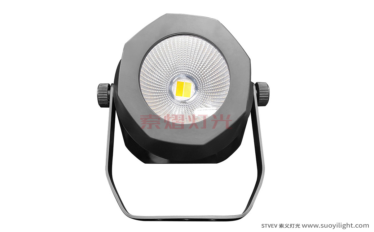 London200W Waterproof COB Par Light